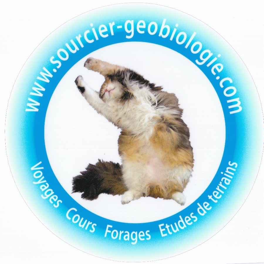 Logo prot&eacute;g&eacute; de toutes copie aux quatre points cardinaux