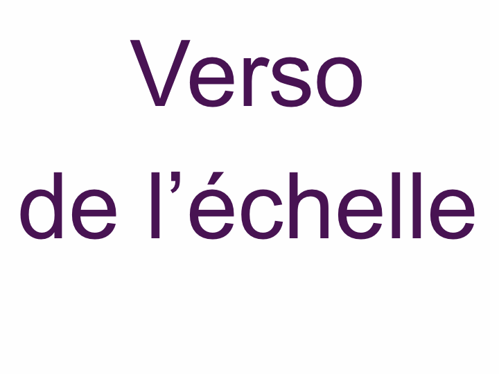 Verso de l'échelle de mesure